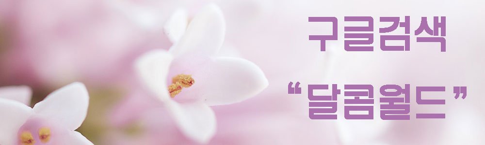 달콤월드 후기
